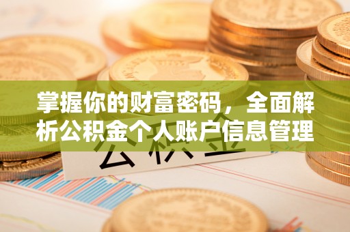 荣成掌握你的财富密码，全面解析公积金个人账户信息管理与优化